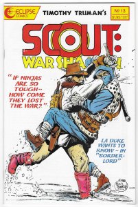 Scout: War Shaman #13 (1989)