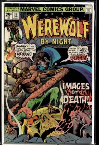 Werewolf by Night #36 (1976) Werewolf by Night