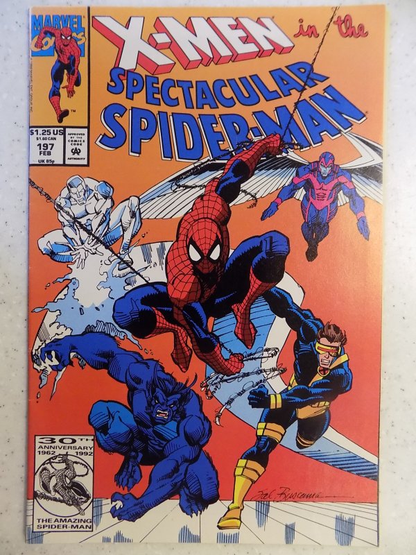 The Spectacular Spider-Man #197 (1993)