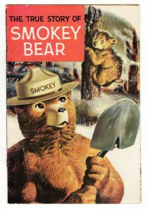 True Story of Smokey Bear ORIGINAL Vintage 1969 Dell Comics