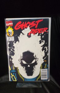 Ghost Rider #15 (1991) Ghost Rider 