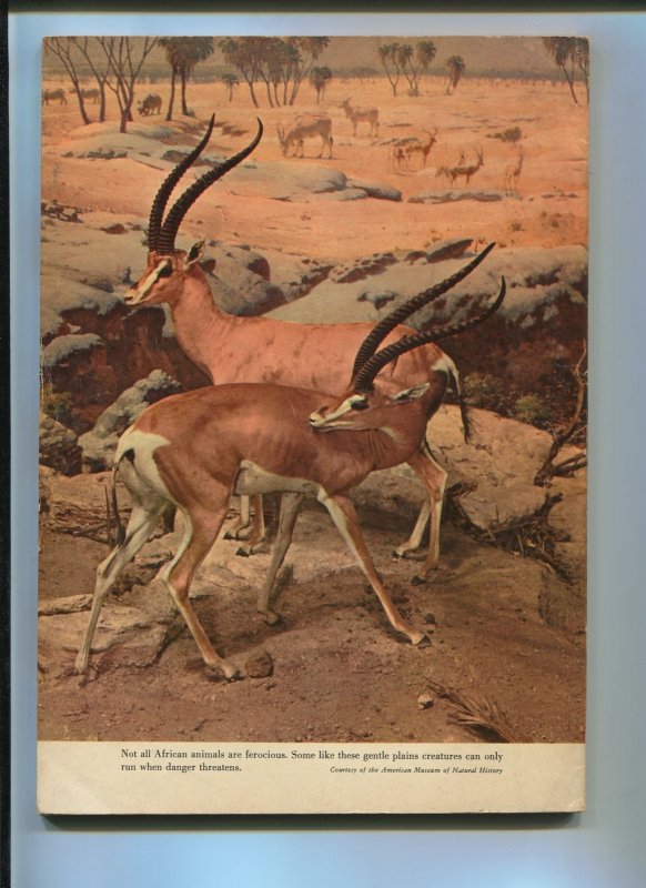 TARZAN'S JUNGLE ANNUAL #4  1955-DELL-EDGAR RICE BURROUGHS-VG+