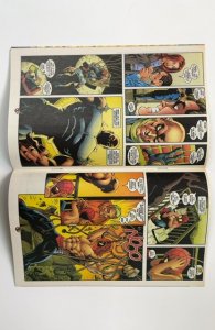 The Spectacular Spider-Man #254 (1998)