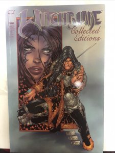 The Witchblade Collected Editions Vol.2 (1996) Image TPB SC David Wohl