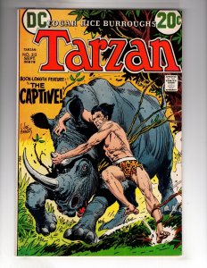 Edgar Rice Burroughs' Tarzan #212 (1972)  / ECA5X