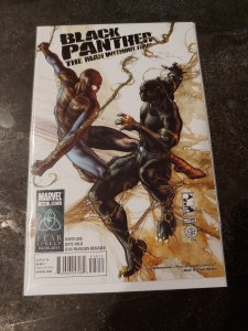 Black Panther: The Man Without Fear #516 (2011)