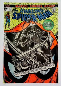 Amazing Spider-Man (1963 series)  #113, VF (Actual scan)