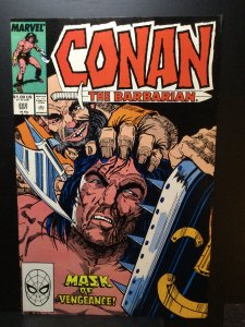 Conan the Barbarian #222 (1989)