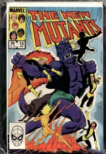 The New Mutants #14 (1984) New Mutants