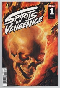 Spirits Of Vengeance #1 Gist Variant (Marvel, 2024) VF/NM