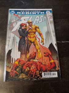 THE FLASH #25