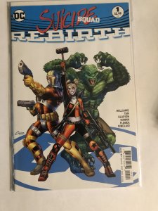 Suicide Squad: Rebirth Amanda Conner Cover (2016)