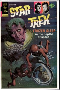Star Trek #39 (1976) Star Trek