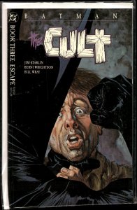 Batman: The Cult #3 (1988) Batman