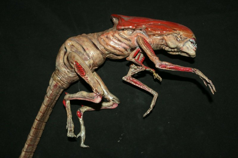 Alien Queen Chestburster Custom Made Hand Painted by Carlos Carrion