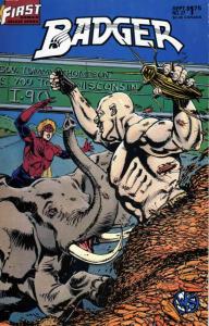 Badger #27 VF ; First | Mike Baron Cockroaches Cover