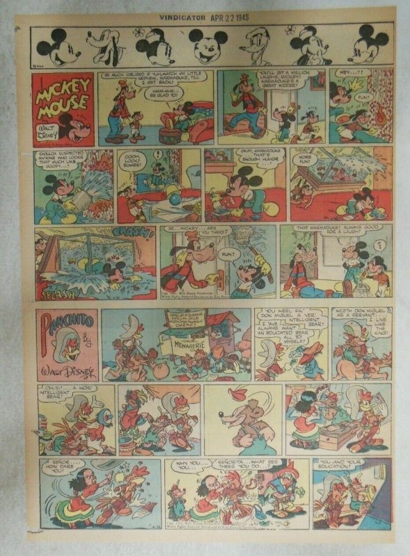 Mickey Mouse Sunday Page by Walt Disney from 4/22/1945 Tabloid Page Size 