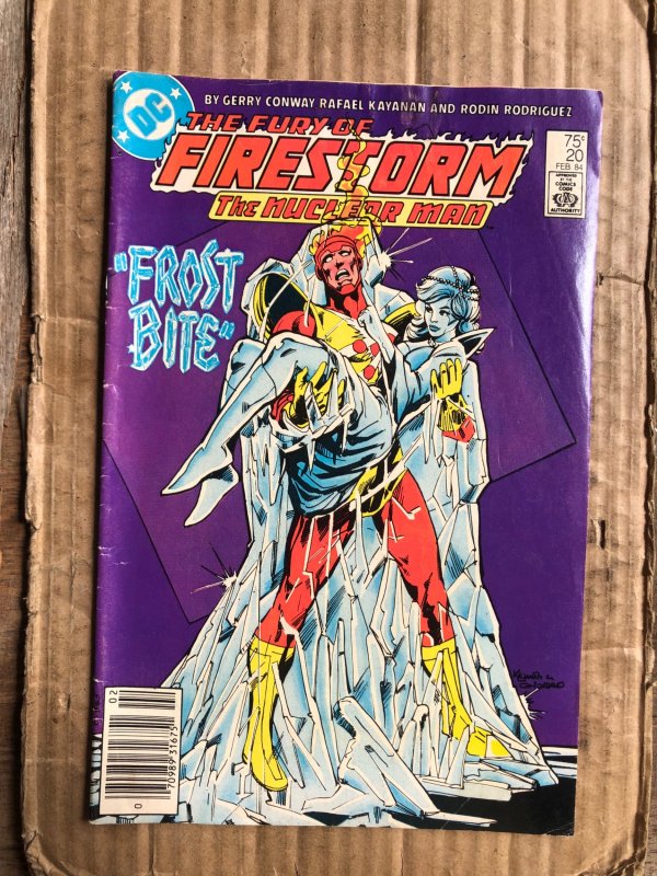 The Fury of Firestorm #20 (1984)