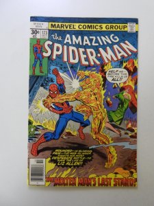 The Amazing Spider-Man #173 (1977) FN- condition stain front cover