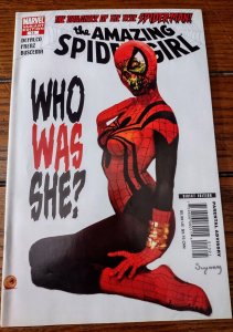Amazing Spider-Girl (Marvel 2007) #13 VF 8.0 Arthur Suydam Zombie Variant 