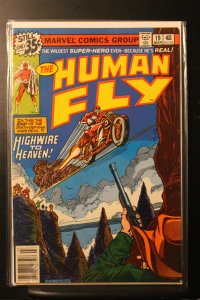 The Human Fly #19 (1979)
