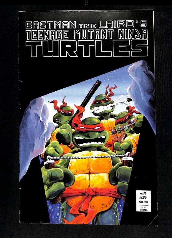 Teenage Mutant Ninja Turtles #16