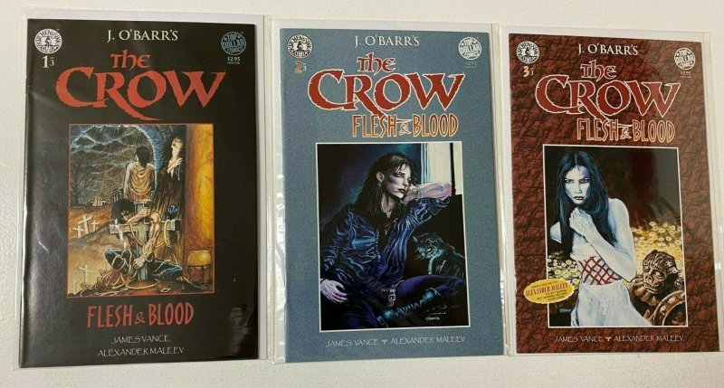 Crow Flesh and Blood set #1-3 8.0 VF (1996 Kitchen Sink)