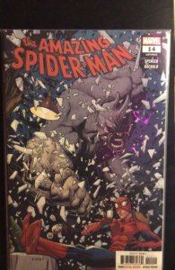 The Amazing Spider-Man #14 (2019)
