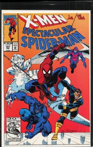 The Spectacular Spider-Man #197 (1993) Spider-Man