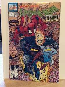 Spider-Man #18 (1992)nm