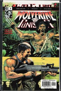 Wolverine/Punisher #5 (2004) Punisher