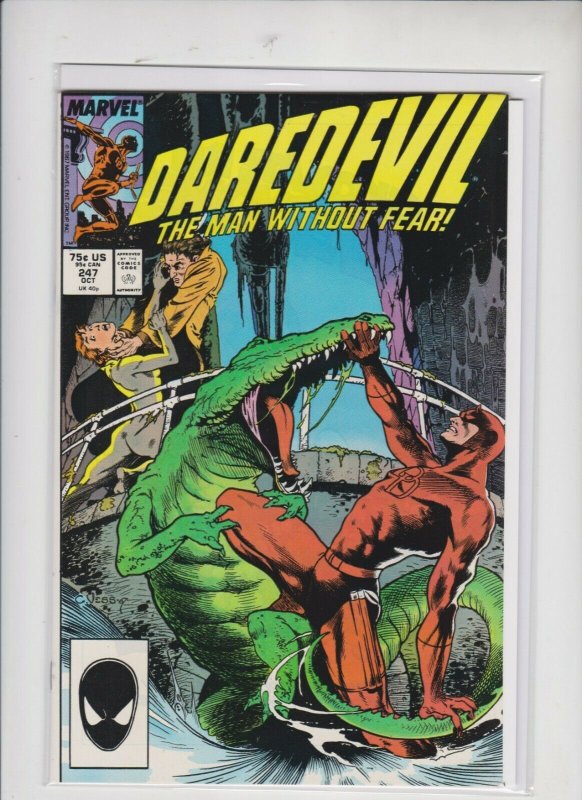 ] DAREDEVIL  # 207 1989 MARVEL /  UNREAD /  NM