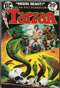 Edgar Rice Burroughs' Tarzan #225 (1973)