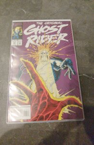 The Original Ghost Rider #13 (1993)