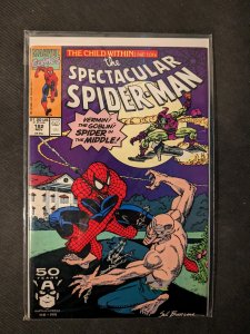 The Spectacular Spider-Man #182 (1991) Spider-Man