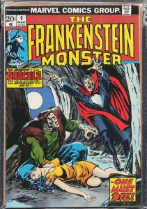 The Frankenstein Monster #9 (1974) Frankenstein Monster