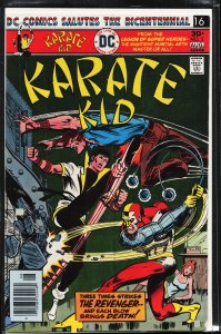 Karate Kid #3 (1976) Karate Kid
