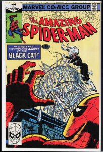 The Amazing Spider-Man #205 (1980) Spider-Man
