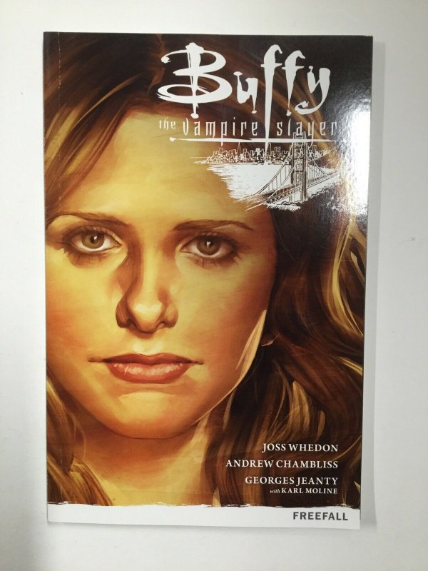 Buffy The Vampire Slayer Freefall Tpb Softcover Sc Near Mint Nm Dark Horse