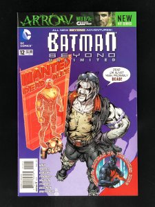 Batman Beyond Unlimited #12 (2013)