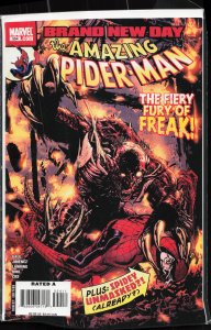 The Amazing Spider-Man #554 (2008)