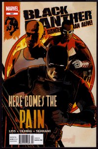 Black Panther: Most Dangerous Man Alive #527 (Feb 2012, DC) 9.4 NM