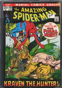 The Amazing Spider-Man #104 (1972) Spider-Man