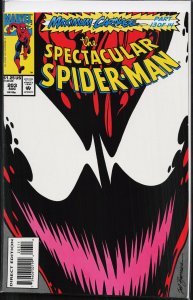 The Spectacular Spider-Man #203 (1993) Spider-Man