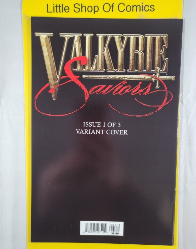 Valkyrie Saviors #1 Kael Ngu Variant 2021 Antarctic Press
