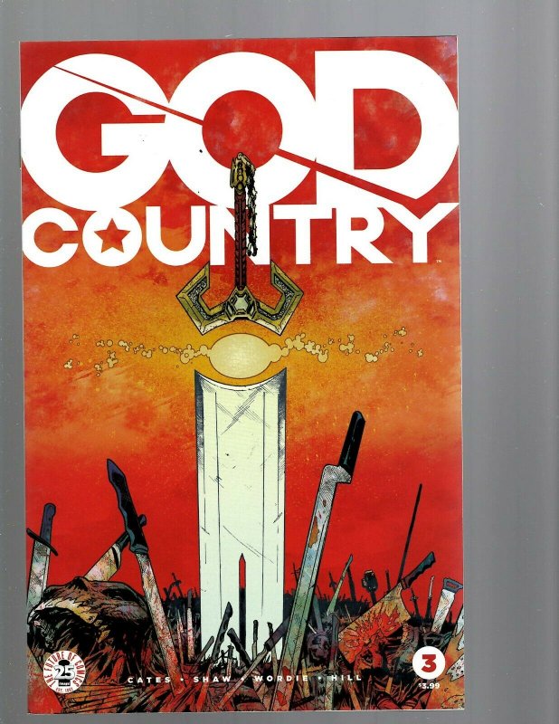 12 Comics God Country # 1 2 3 4 5 6 Chrononauts # 1 2 3 4 Sandman 1 + MORE WB3