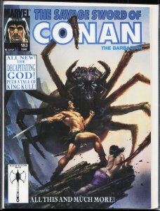 The Savage Sword of Conan #183 (1991) Conan