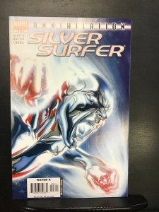 Annihilation: Silver Surfer #3 (2006) nm
