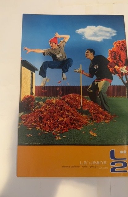 Black Panther #23 (2000)vs Deadpool with app of avengers