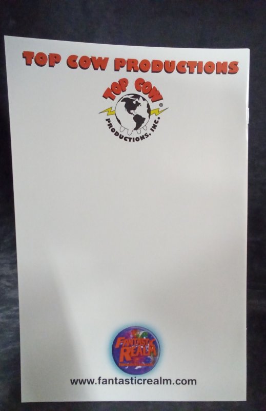 Witchblade #125 Fantastic Realm Cover (2009)